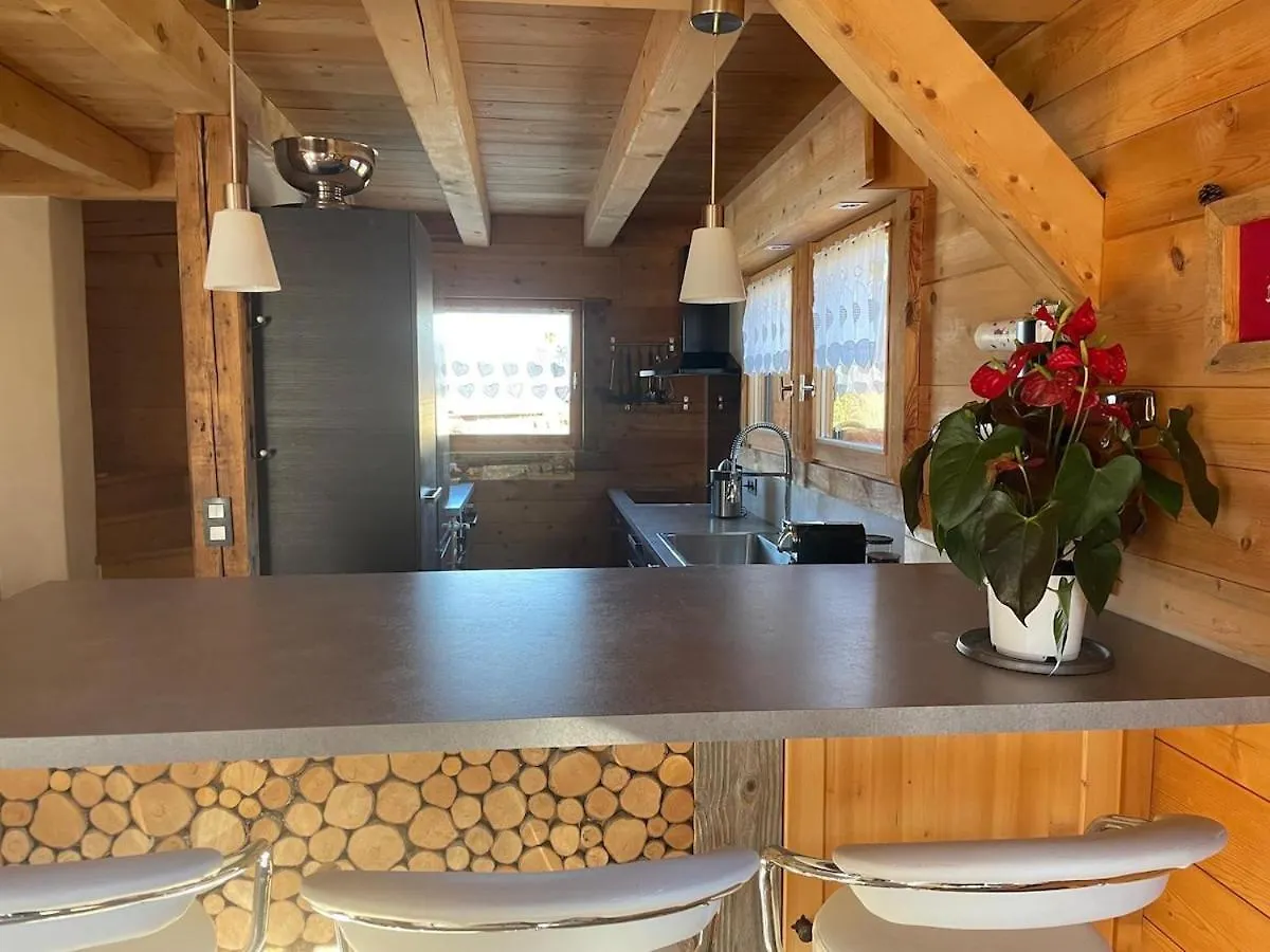 בית נופש מגב Chalet Au Pied Des Pistes צרפת