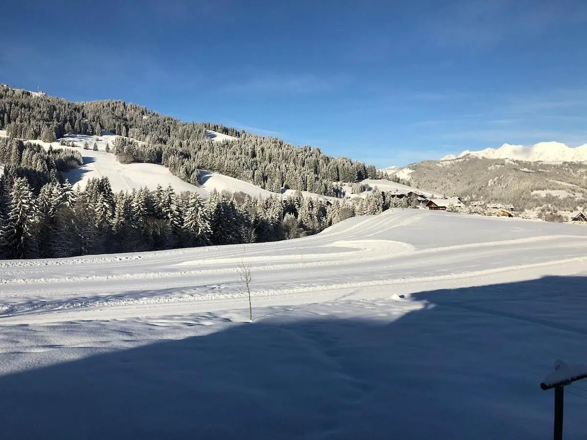 מגב Chalet Au Pied Des Pistes צרפת